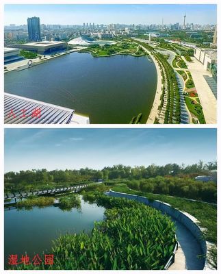 濱河人工湖變濕地公園 從大處看是好事，人工濕地的生態啟示