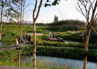 城市小型人工濕地公園案例研究 基于“人工濕地”技術的生態盆景