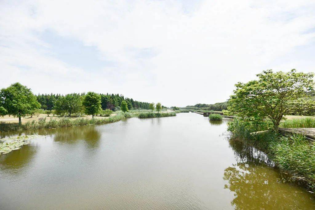 走近人工濕地，共建生態園區——保護人工濕地的行動與思考